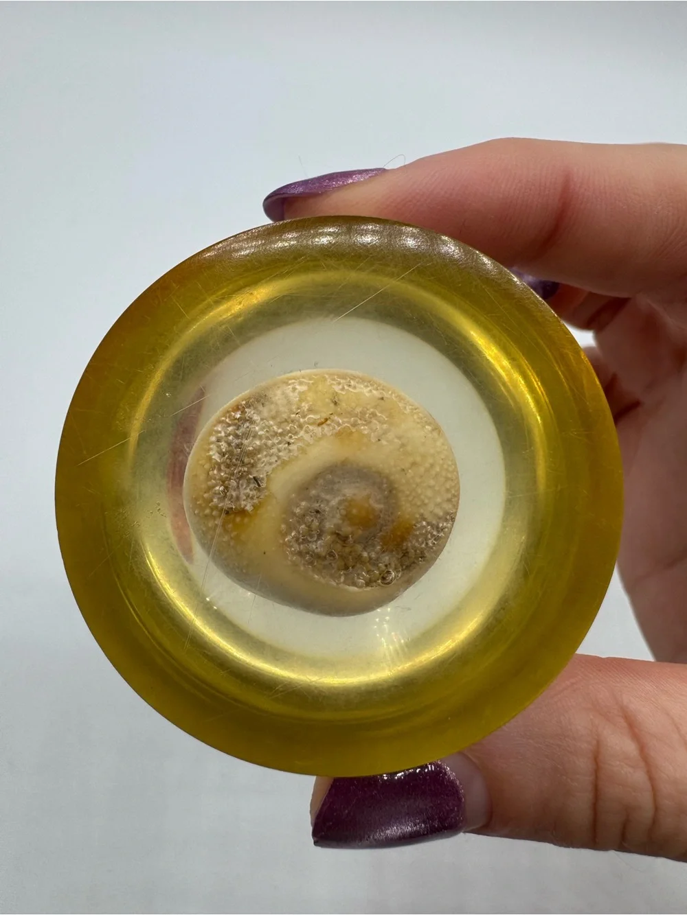 2 Vintage Acrylic Lucite Nautical Ocean Beach Seashells Paperweight